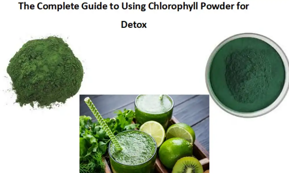 The Complete Guide to Using Chlorophyll Powder for Detox